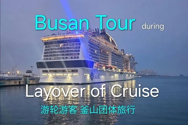 Busan Tour for Cruise passengers (max 12 Guest)
