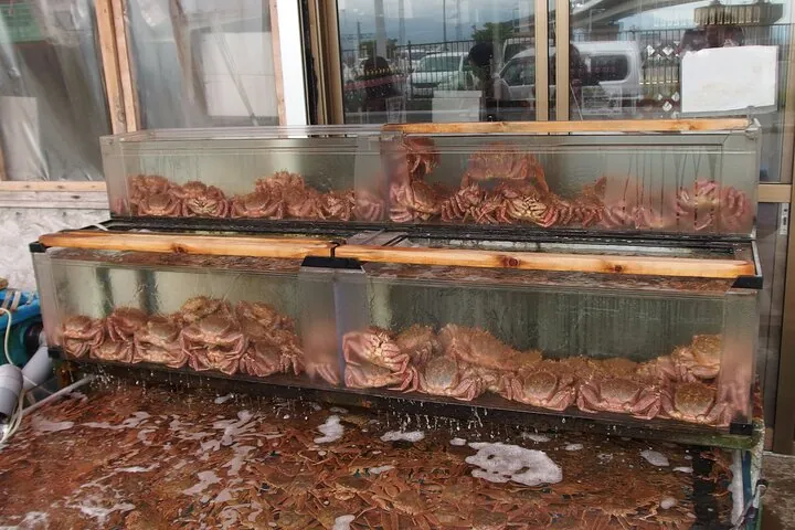 Crabs at Hakodate morning market