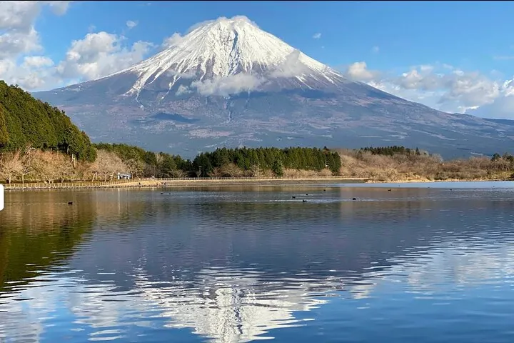 Fuji Highlights Group Car Tour by Shimizu Port with Local Guide — operator photo 6