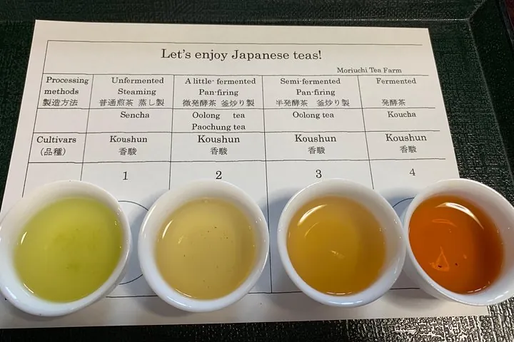 Try 4 kinds of tea made from the same tea leaves