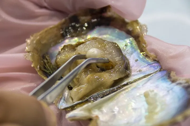 Mie: Mikimoto Pearl Island and the Birth of Cultured Pearls — operator photo 11