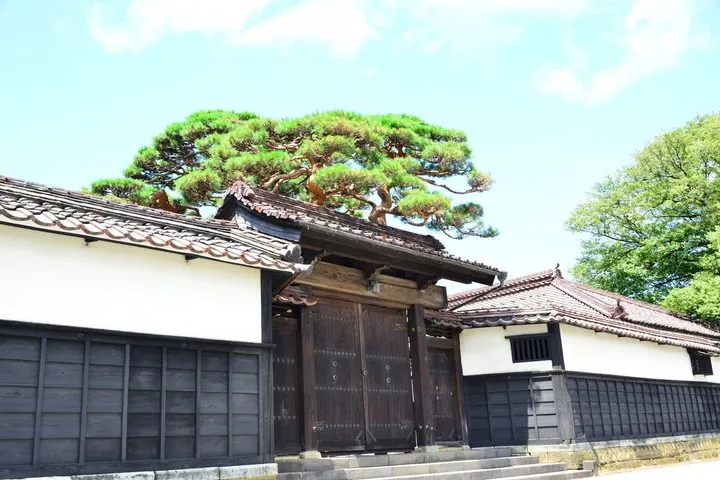Discover Rice Barons Art and Geisha Heritage from Sakata Port — operator photo 4