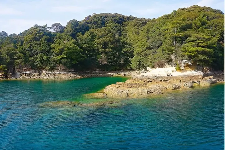 Sasebo, Nagasaki: Private Customizable Tour with Local Guide — operator photo 7