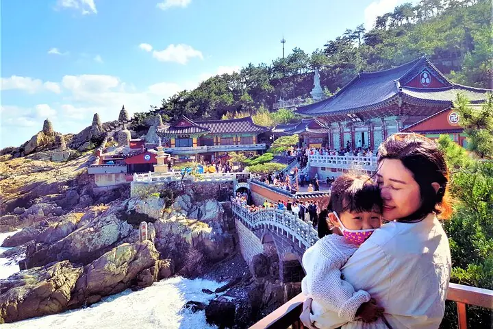 Busan Cruise Port – Premium Small Group Tour (Max 6 Guests) — operator photo 3