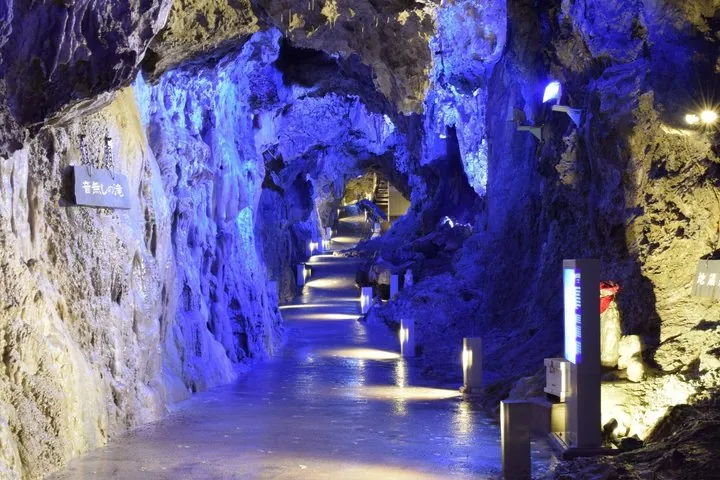 Miyako Iwate Private Shore Excursion Coastal Wonders and Caves — operator photo 11