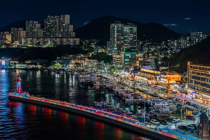 Yeosu Coastal Highlights & Cable Car Day Tour (Seoul to Busan) — operator photo 9