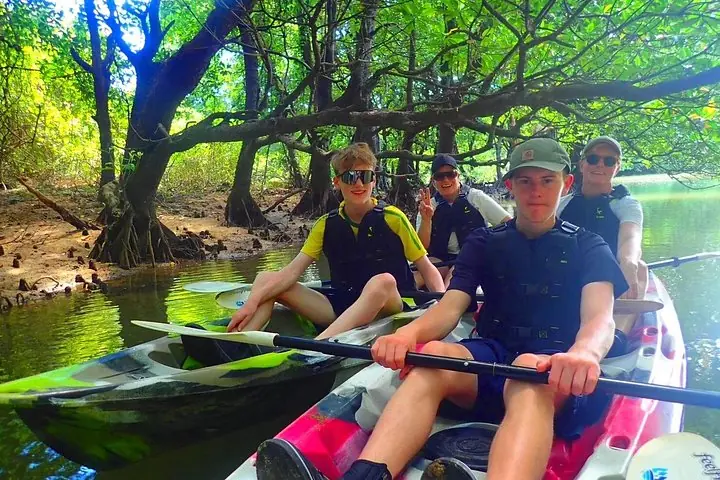 Okinawa Ishigaki Mangrove SUP or Canoe Tour — operator photo 5