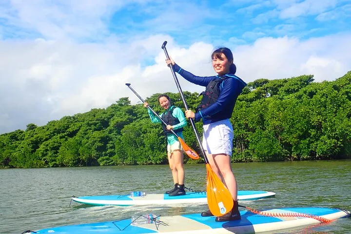 Okinawa Ishigaki Mangrove SUP or Canoe Tour — operator photo 7