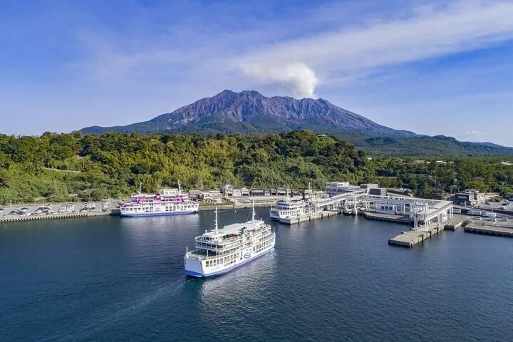 Discover the Wonders of Sakurajima Half Day Tour in Kagoshima — operator photo 3