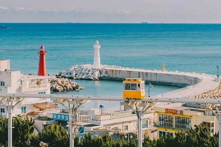 Private Busan Tour - Explore Landmarks with a Licensed Guide — operator photo 3