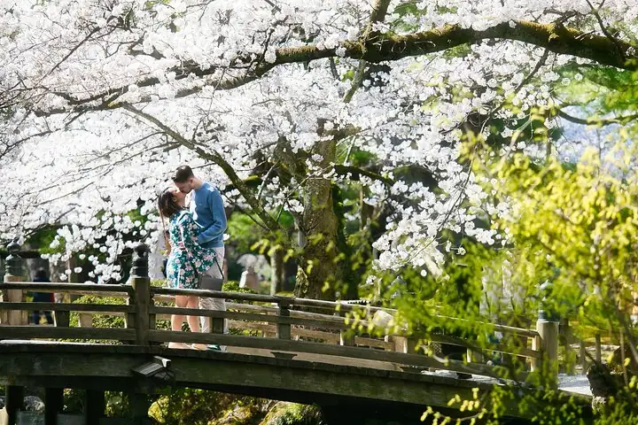 Photoshoot session by professional photographer in Kanazawa — operator photo 2