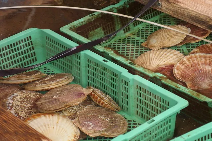 Scallops