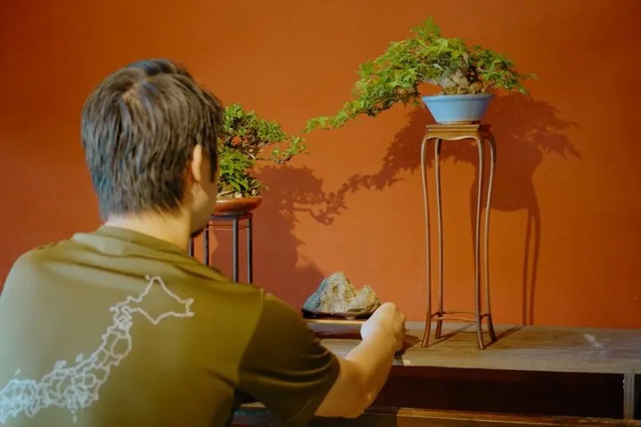 Explore Fukui’s Merchant Heritage with a Bonsai Craft Session — operator photo 5