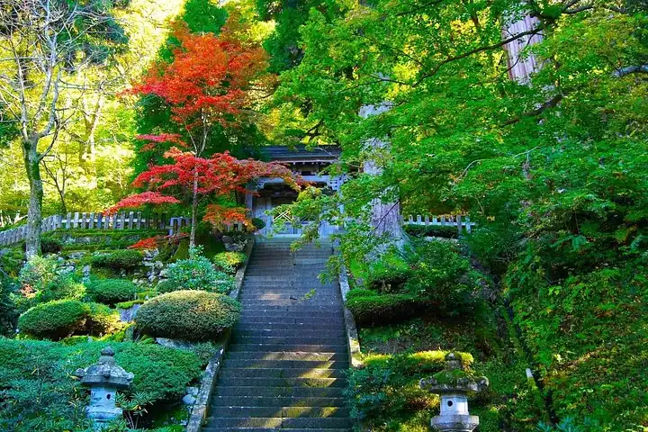 Fukui: Eiheiji Temple and the Heart of Zen Buddhism — operator photo 2