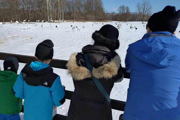 Private Tour with Kushiro Marsh, Tancho, and Local Market