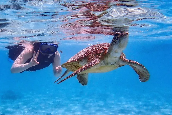 Snorkeling Activity in Okinawa Miyako Japan — operator photo 5
