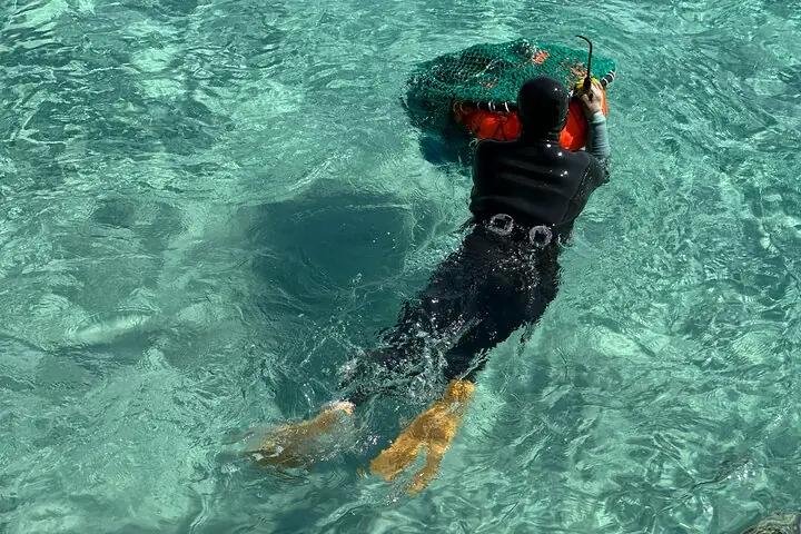 Small Group Tour in East Jeju Healing Island w/Woman Divers Show