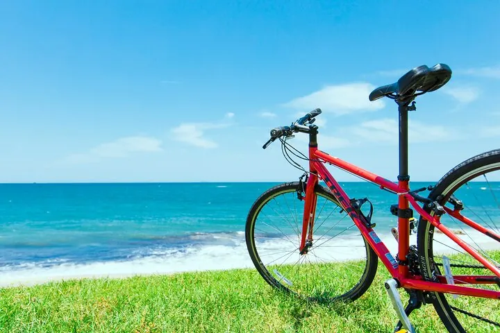 Day trip from central Fukuoka.Rental cycle in Shikanoshima island — operator photo 7