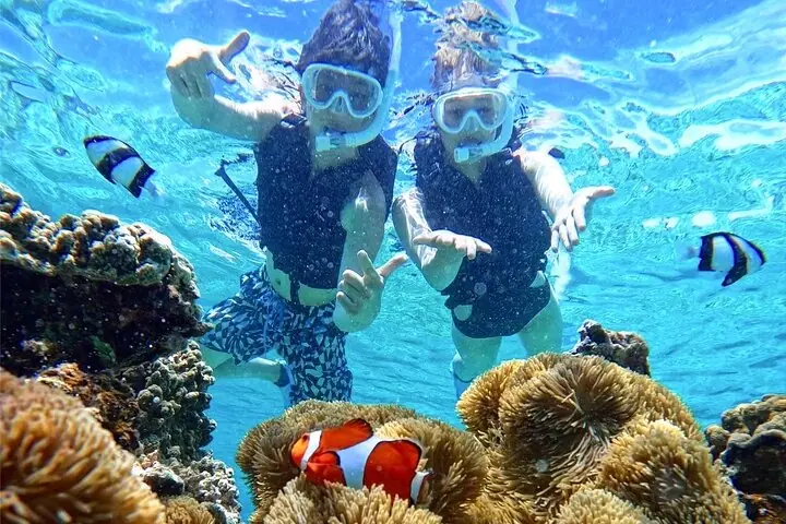 Okinawa Miyako Half Day Sea Turtle Snorkel with Free Photos — operator photo 2