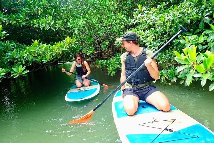 Ishigaki Mangrove SUP or Canoe + Blue Cave Snorkeling — operator photo 8