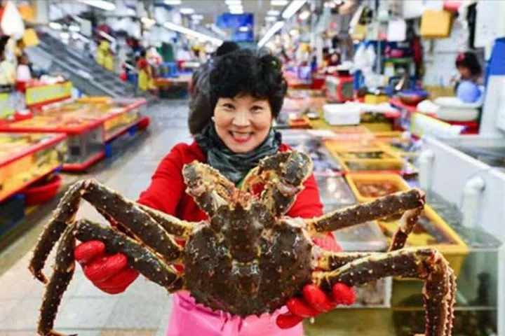 Busan Cruise Port – Premium Small Group Tour (Max 6 Guests) — operator photo 6