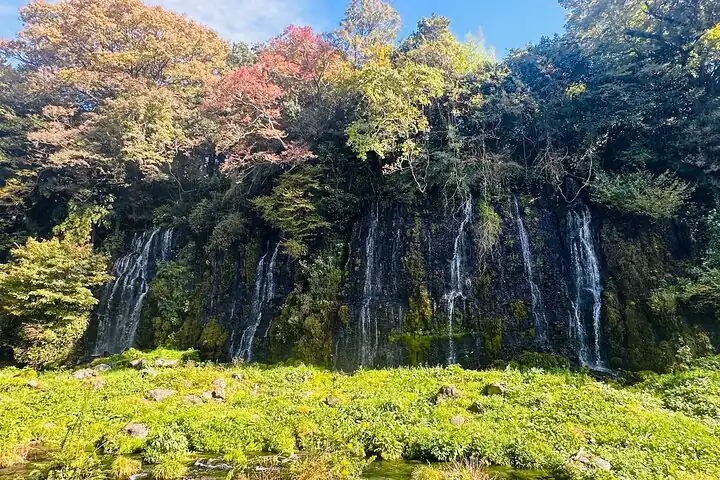 Fuji Highlights Group Car Tour by Shimizu Port with Local Guide — operator photo 11